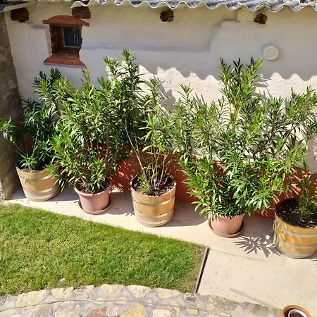 Zichy Haz Appartement
