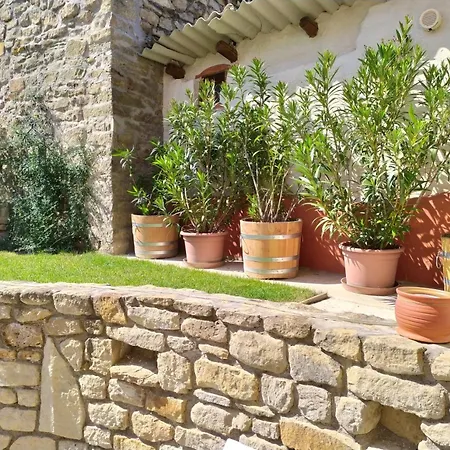 Zichy Haz קסזטלי